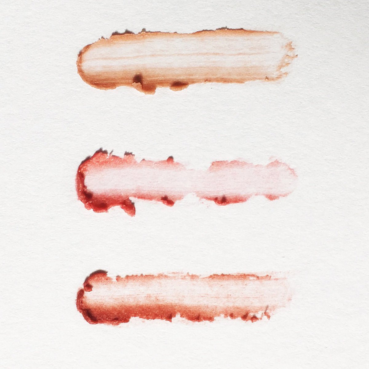 Set of 3 Tinted Vegan Lip Balms - River Organics