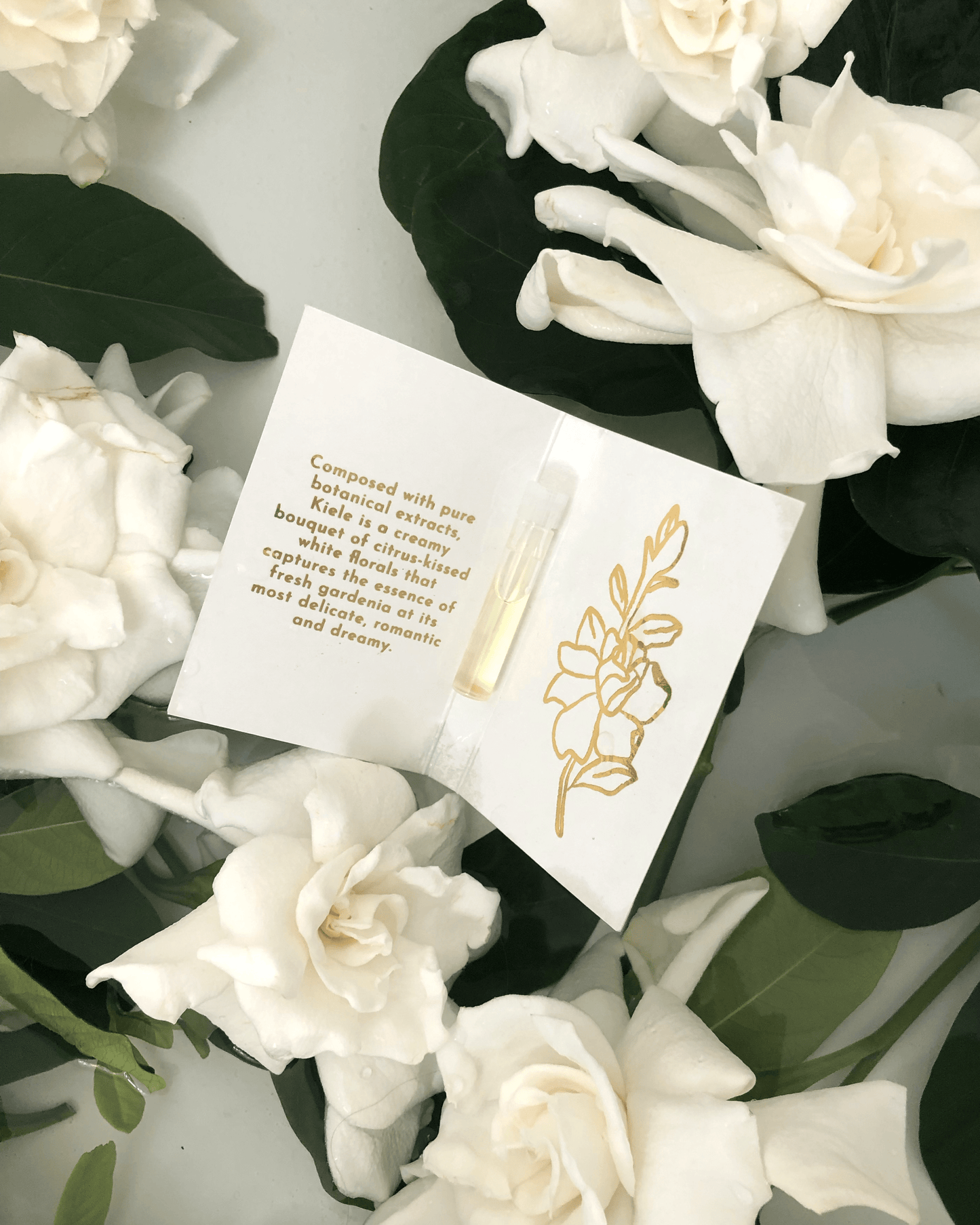 An open sample card with a gold floral design from LEAHLANI displays a tiny vial of Kiele Essence of Gardenia among white gardenia flowers and green leaves, capturing the botanical fragrance inspired by gardenias.