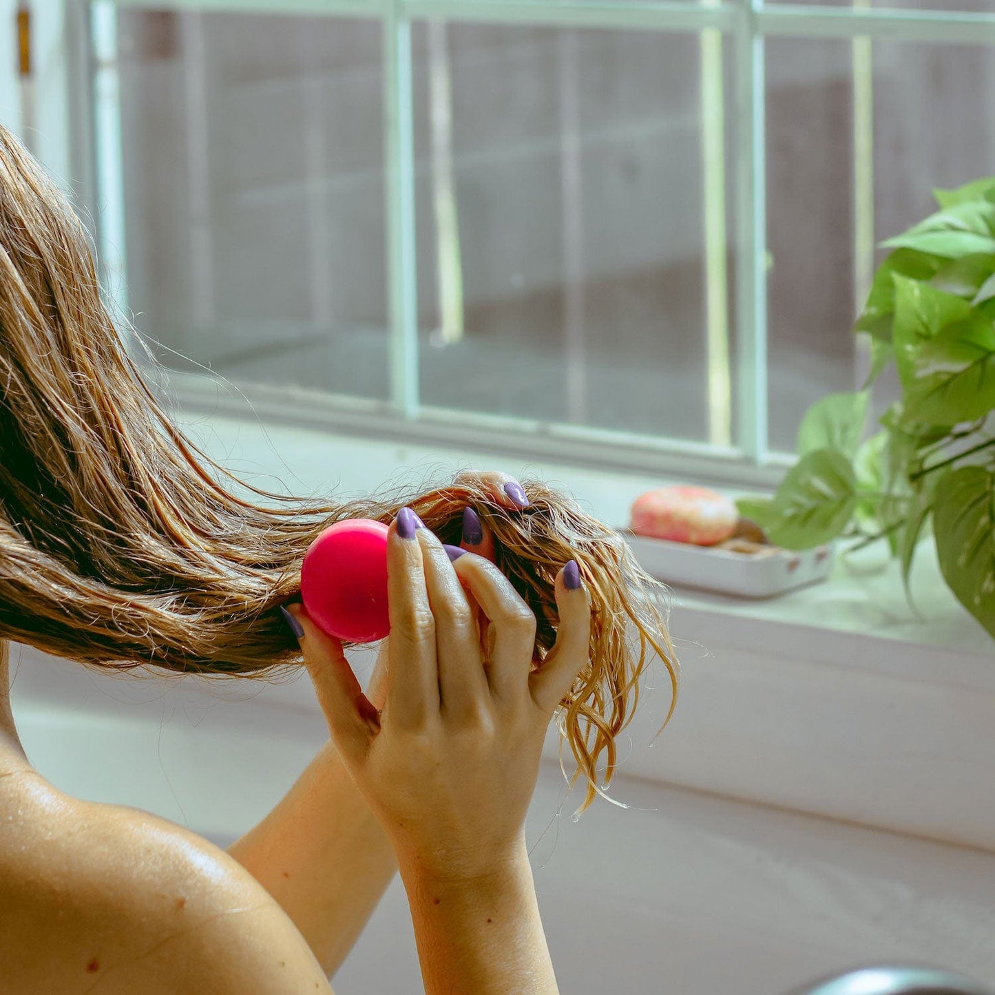 With wet hair, a person uses a bright pink scalp massager and the ZeroWasteStore.com Conditioner Bar near a sunlit window, while a green plant and soap dish sit on the windowsill in the background.