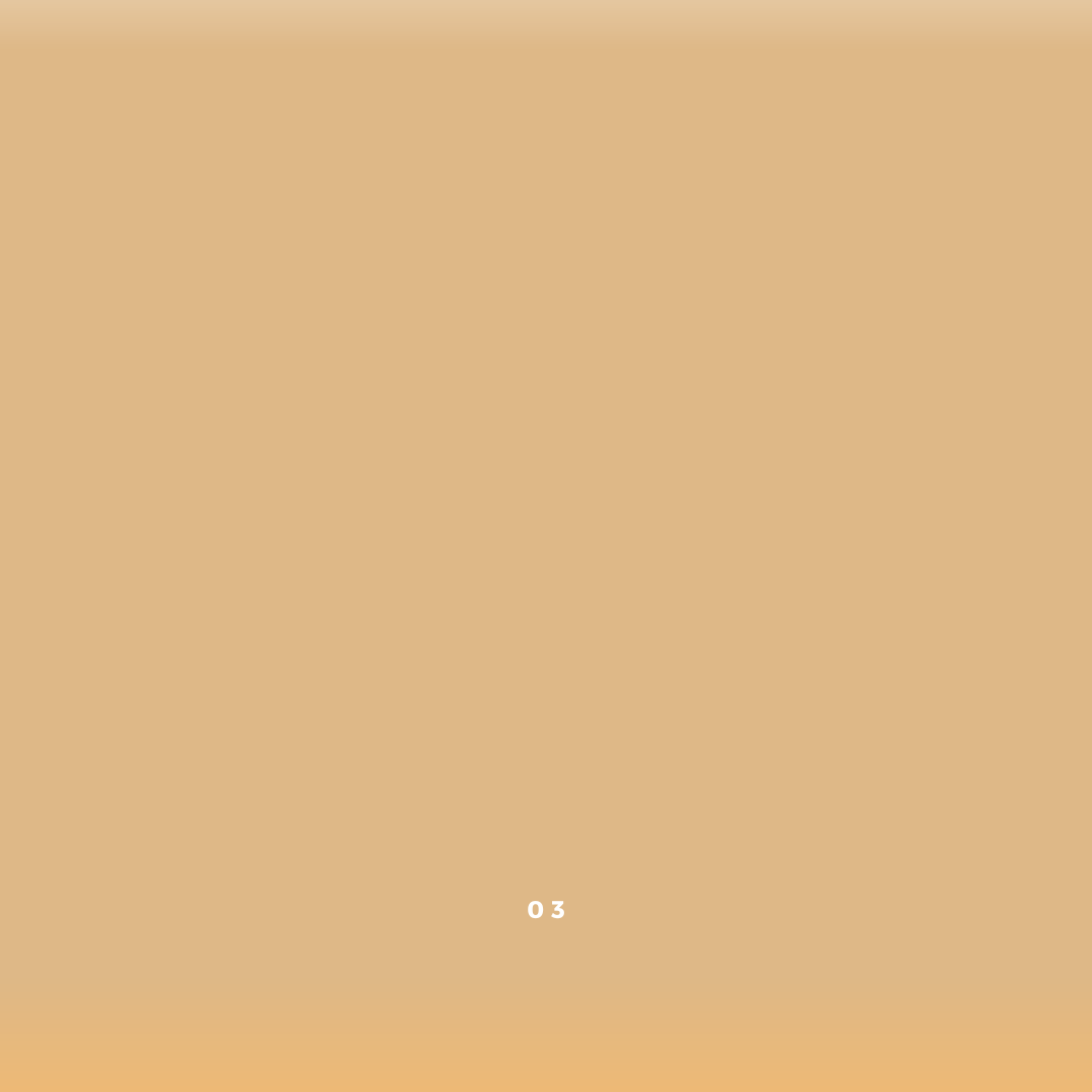 A solid beige background, inspired by River Organics' Zero-Waste Vegan Concealer, transitions to a lighter shade at the top and a warmer tone at the bottom. The number "03" appears in small white font centered near the bottom.