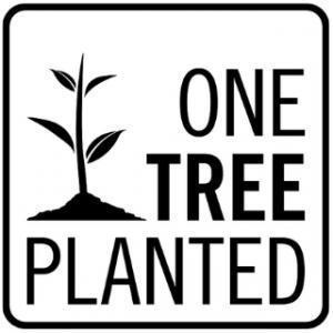 Help us Plant 1000 Trees!