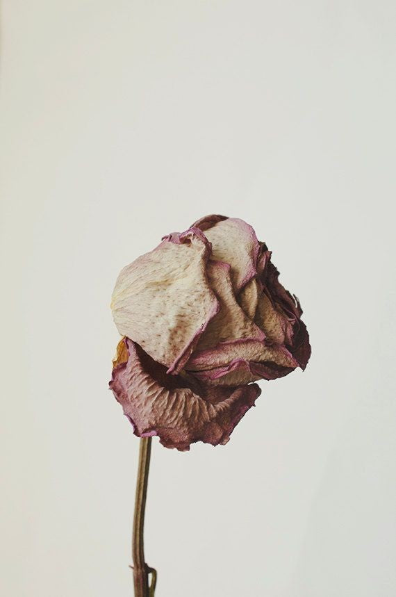 Scent - River Organics 