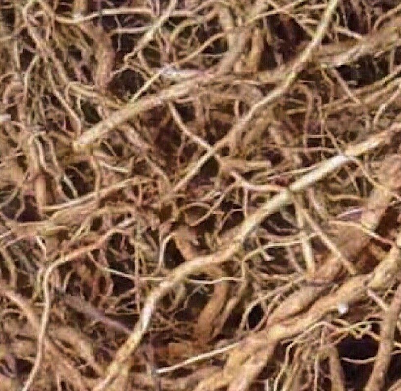 A close-up of tangled brown roots, reminiscent of natural textures found in River Organics' Still Earth: Vetiver + Sandalwood Botanical Scent Balm.