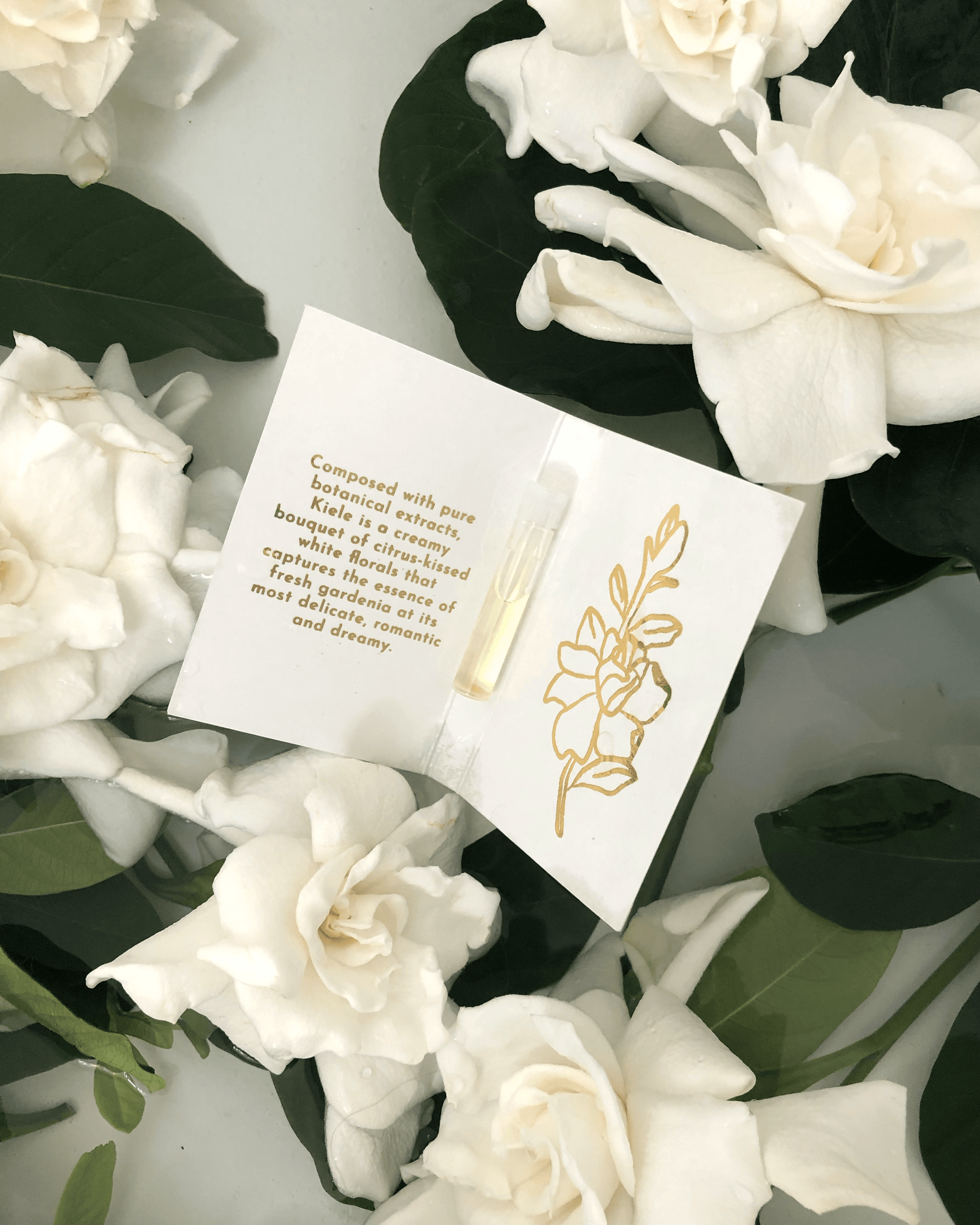 An open sample card with a gold floral design from LEAHLANI displays a tiny vial of Kiele Essence of Gardenia among white gardenia flowers and green leaves, capturing the botanical fragrance inspired by gardenias.