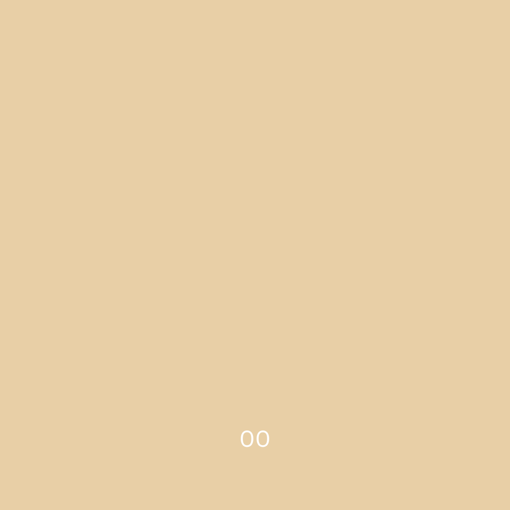 A plain background with a light tan color. At the center bottom of the image, the letters "OO" are typed in white, simple font, representing our commitment to a plant-based formula and Certified Organic oils for River Organics' Zero-Waste Concealer.