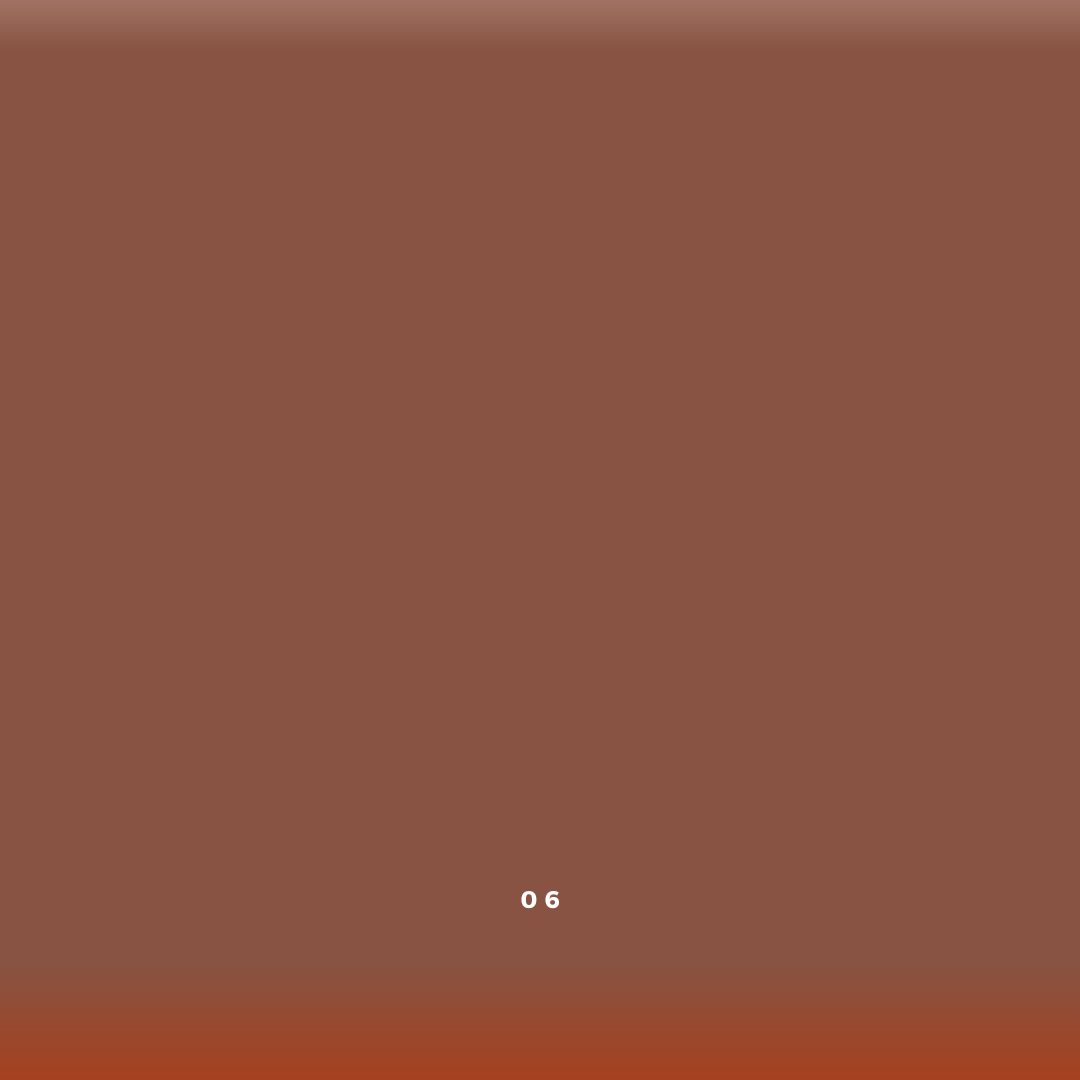 A minimalistic image featuring a large, solid brown area with a subtle gradient from darker to lighter brown toward the top. At the bottom center, there is a white number "06". The background fades into a more intense red hue at the bottom edge, evoking the essence of River Organics Zero-Waste Concealer.